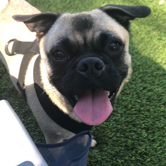 Meet your Posher, Kelly - Picture 5 of 5